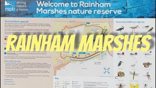 A trip to Rainham Marshes RSPB on 11th November 2024