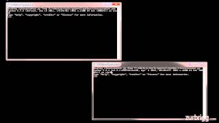 Python Versions (2.x and 3.x)