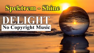 Spektrem - Shine | Delight No Copyright Music