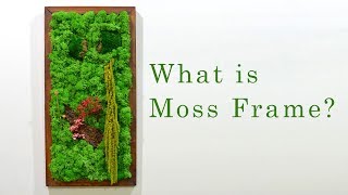 What is a Moss Frame?