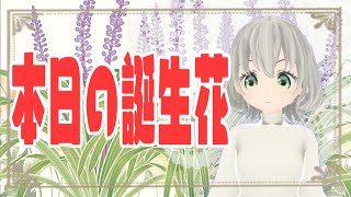 【花言葉】９月２０日の誕生花は？／花白もか