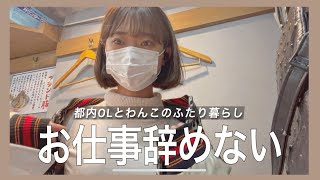 【2022年の抱負】犬と暮らす20代飼い主の今年の目標10こ！