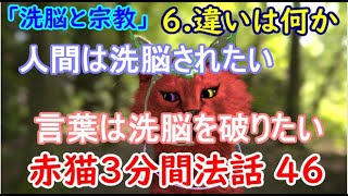 赤猫3分間法話 46 「洗脳と宗教」6 違いは何か