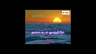 alaikadal orathile / அலைகடல் ஓரத்திலே (ayya vali stetus video ) 🙏🙏🙏🙏🙏