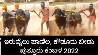 Iruvail Panila as Kowdoor Beedu in Puttur Kambala 2022 | ಇರುವೈಲ್ ಪಾಣಿಲ | ಕೌಡೂರು ಬೀಡು | ಪುತ್ತೂರು ಕಂಬಳ