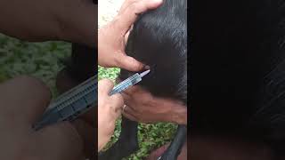 Goat Injection By ITBP Police #shorts