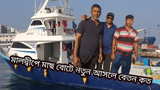 মালদ্বিপে মাছের বোটে নতুন আসলে বেতন কত কি কাজ করতে হবে ???