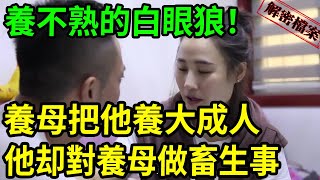 解密檔案——養不熟的白眼狼！#吕鹏大案纪实