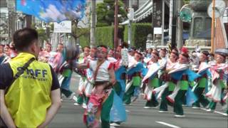 福山ばら祭2017・ローズパレード2017・神石踊娘隊きらきら星