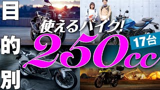 250ccバイク いろいろ使える17台【目的別に分類】