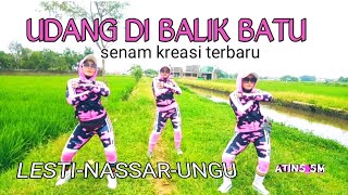 UDANG DI BALIK BATU || LESTI NASSAR UNGU || SENAM KREASI