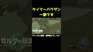 【悲報】タイマーバクダンで消し飛ぶ【ゼルダの伝説 ティアーズ オブ ザ キングダム】【ティアキン】#Shorts