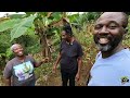 she is not a farmer. she is a planter so proud grateful a woman with a big hart. st mary jamaica 🇯🇲