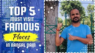 Top 5 Best Places for visit Nangal dam | Rohit Agnihotri Vlogs