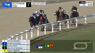 Gulfstream Park Carrera 7 - 20 de Diciembre 2024