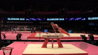 ZONDERLAND Epke (NED) - 2015 Artistic Worlds - Qualifications Pommel Horse