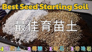 🥬如何在家制作育苗土？既要便宜也要足够轻盈·吸水·保水·排水·通风Diy Seed Starting Soil