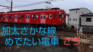 【南海】加太さかな線 めでたい電車「さち」 7100系