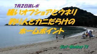 山口萩サーフィン 7月2日 釣り人とカニだらけのホームポイント ~サーフモンキーTV