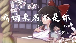 我怕來者不是你 (dj版) - 小藍背心『怕無歸期 怕空歡喜，怕來的不是你』【動態歌詞】