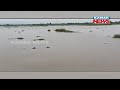 rajua and daya rivers swell farmland submerged