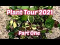 My Houseplant Tour 2021 // Part 1