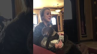 Surprised by Sloth || ViralHog