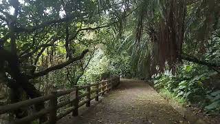 本日の末吉公園 空と森