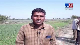 Viramgam farmers seek release of water for irrigation, Ahmedabad | Tv9GujaratiNews