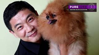 Mengenal Anjing Pomeranian + Tips Perawatannya Oleh Highlander Kennel