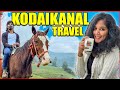 Exploring Kodaikanal in Off Season | #tamilvlog