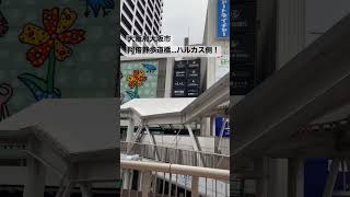 2022.09●天王寺！阿倍野歩道橋のあべのハルカス側！/Osaka,Japan.【大阪府大阪市】#shorts