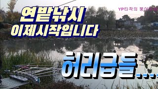 연밭소류지 허리급들!!!여기저기서 붕어들의 움직임이 포착 되네요