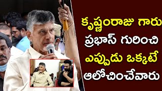 కృష్ణంరాజు గారు ప్రభాస్ గురించి ఎప్పుడు ఒక్కటే ఆలోచించేవారు | Chandra Babu Naidu | Media Hippo