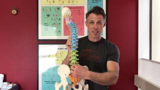 StabilityWOD 5: The Lumbar Core Cylinder