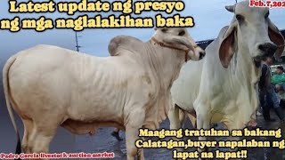 Latest update naglalakihan baka,maagang tratuhan sa bakang Calatagan #padregarciabatangas