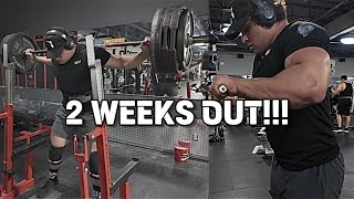 2 WEEKS OUT!! WILL I BE READY?!?