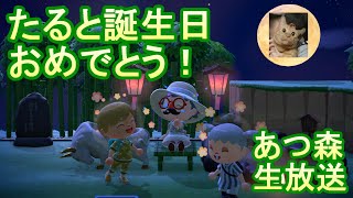 【あつ森】祝！茶猫たると誕生日！あつまれどうぶつの森パペットマペッ島でお祝い生放送🐮🐸🐱【LIVE】