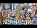 うさぎが自由？楽しすぎな香川県のしろとり動物園に行ってきた。