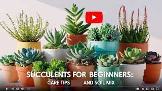 Easy and Hardy Succulents: Care Tips & Perfect Soil Mix Guide