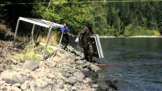 Elwha River floating weir: a tool to study adult salmon during and following dam removal