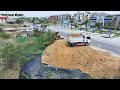 Full Video! Transaction Filling up land huge, Bulldozer KOMATSU D31P, Dump Truck Unloading