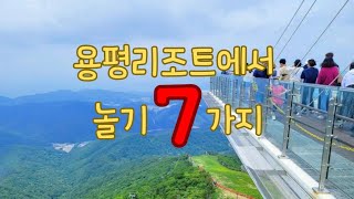 용평리조트 즐길거리 1분 모아보기 [모나용평]