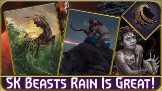 Is Renfri Beasts the Best Way to Play Rain!? (Gwent Skellige Rage of the Sea Deck)