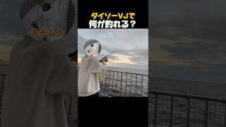 ダイソーVJで何が釣れる？#shorts #ダイソーvj