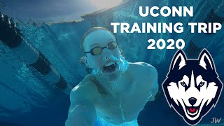 UNIVERSITY OF CONNECTICUT SWIMMING AND DIVING TRAINING TRIP 2020 VLOG!!!