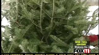 Honey Do: Christmas tree takedown