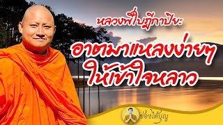 หลวงพี่ใบฎีกาปิยะ อาตมาแหลงง่ายๆ ให้เข้าใจหลาว ธรรมะฮาเฮ แหลงใต้ เทศน์ทองแดง