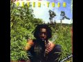 Peter Tosh - Burial