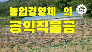 농업경영체등록 공익직불금 농업경영체등록혜택  농지원부 귀농귀촌정보 농업 임업 산림 6차산업   경북농민사관학교 약초방송 임업후계자  농지취득자격증명  농업지원 독림가  임업경영체